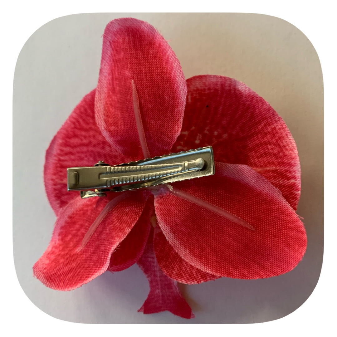 Hårblomma cerise rosa orkidé