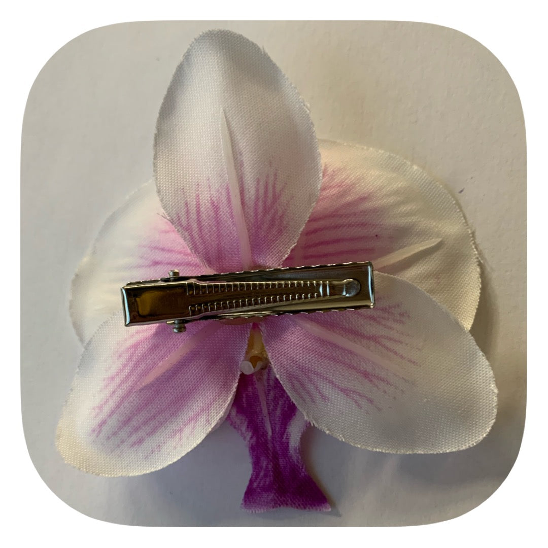 Hårblomma vit/lila orkidé