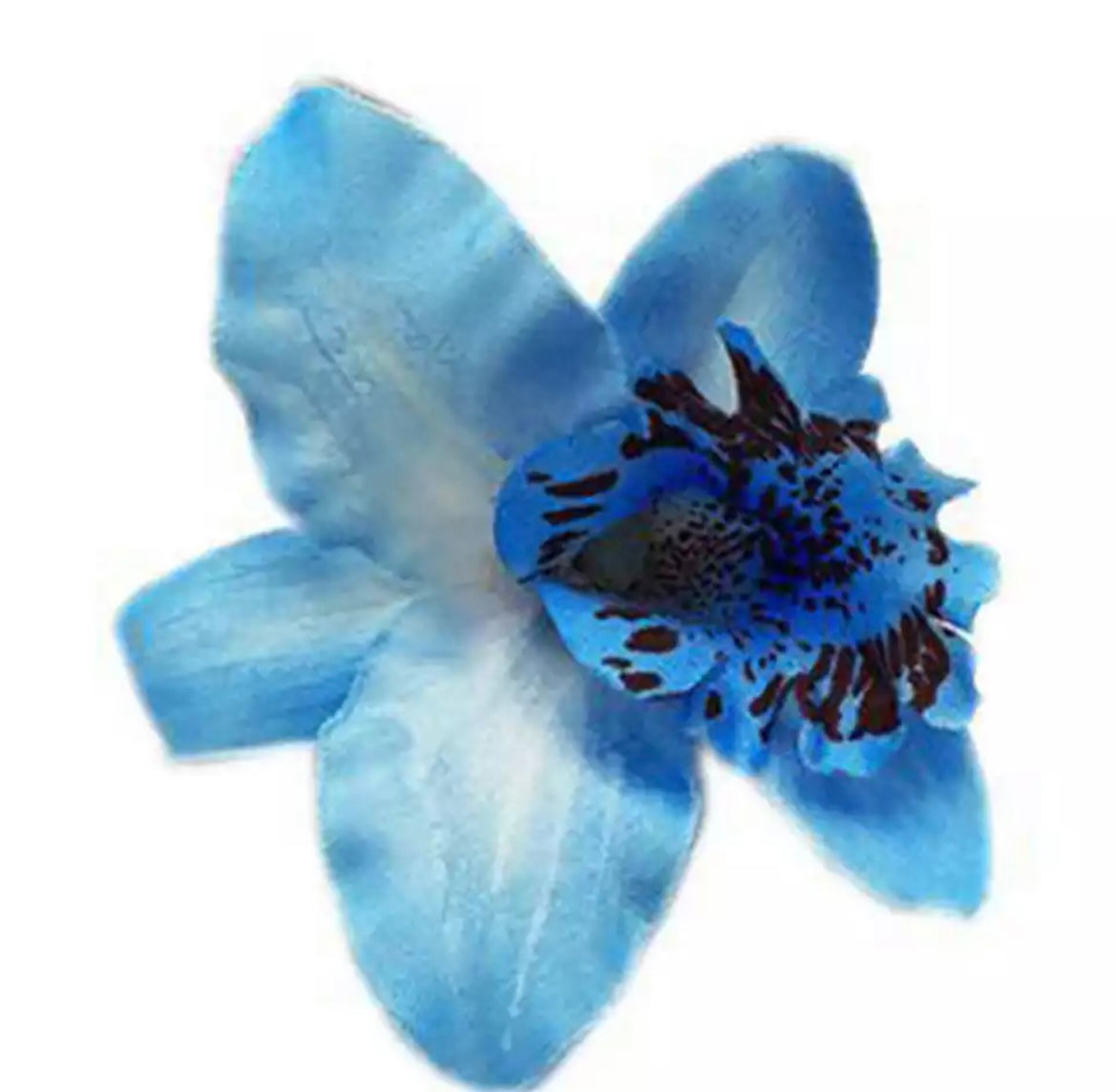 Hårblomma ny blå orkidé