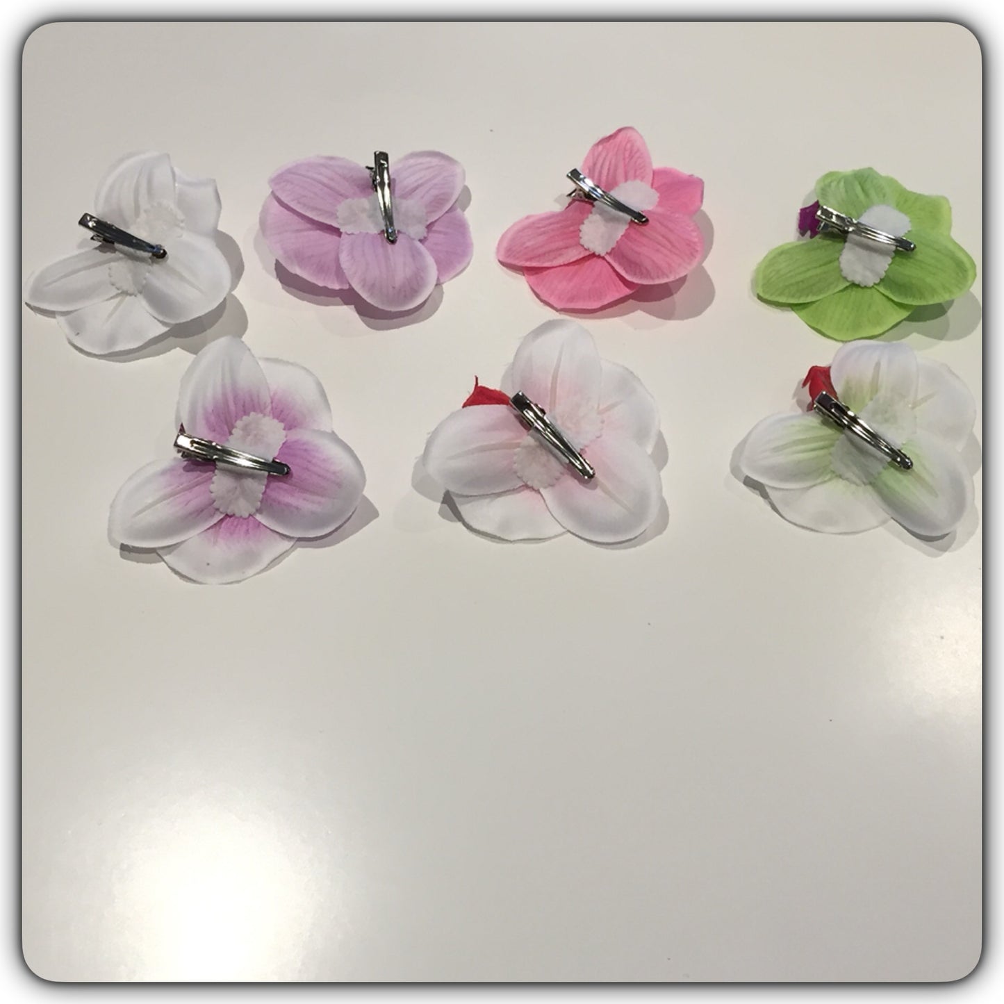 Hårblomma liten vit/lila orkidé