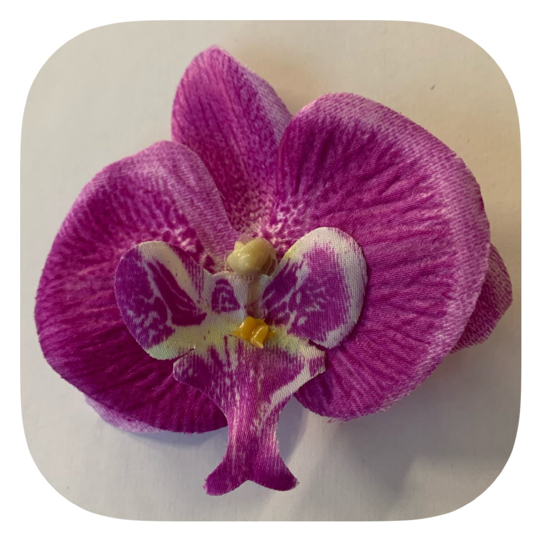 Hårblomma lila orkidé