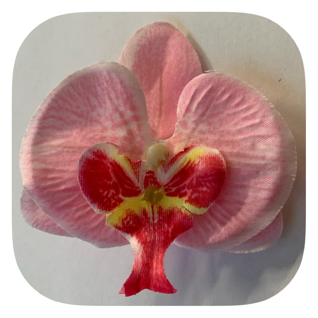 Hårblomma ljusrosa orkidé