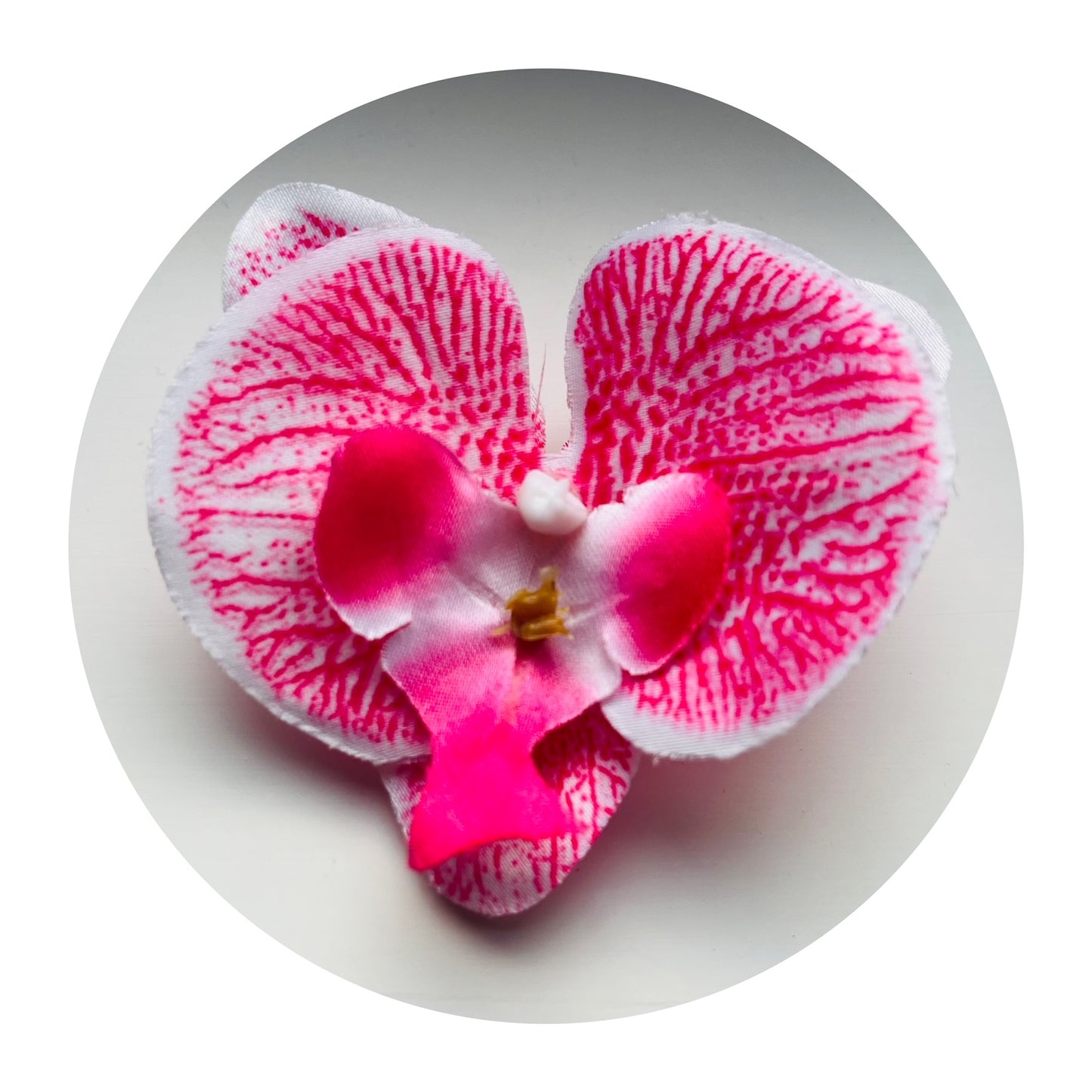 Hårblomma vit/rosa orkidé