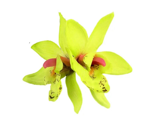 2 st hårblommor, ljusgrön/gul