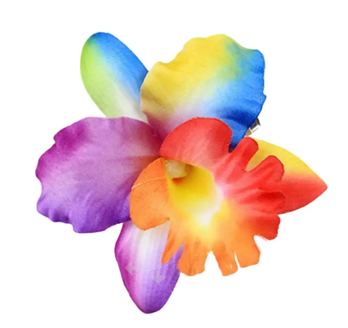 Hårblomma ny regnbågsfärgad orkidé