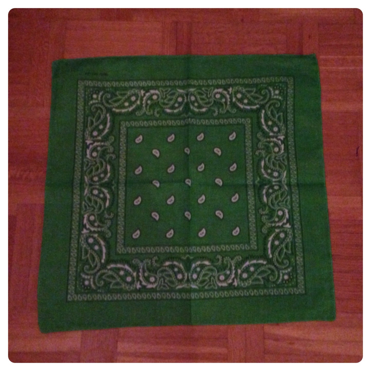 Bandana - Kelly Green