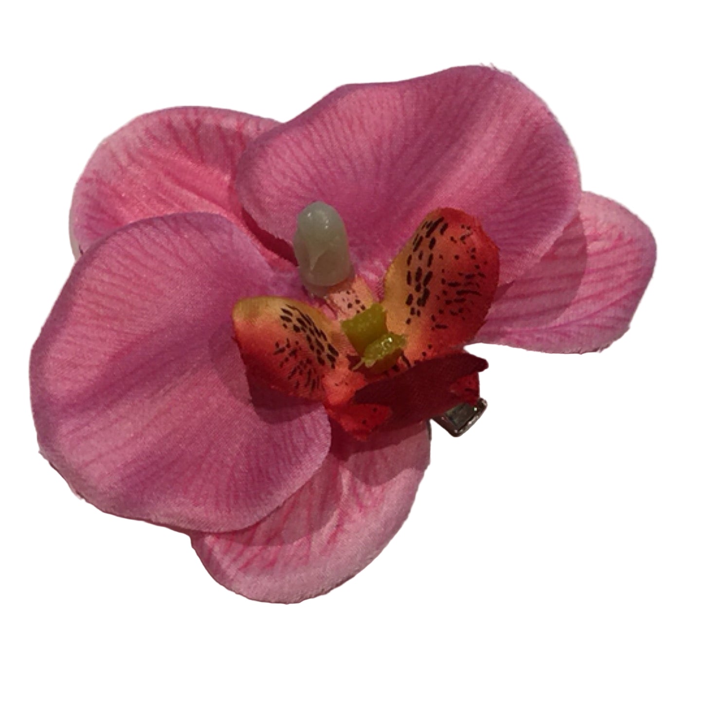 Hårblomma liten rosa orkidé