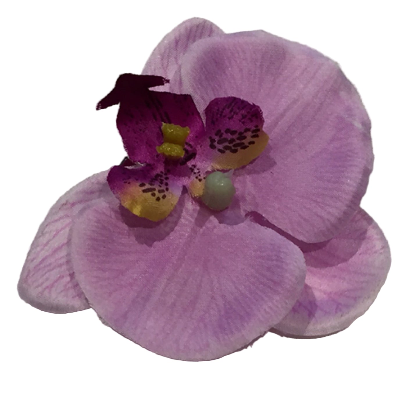 Hårblomma liten ljus lila orkidé