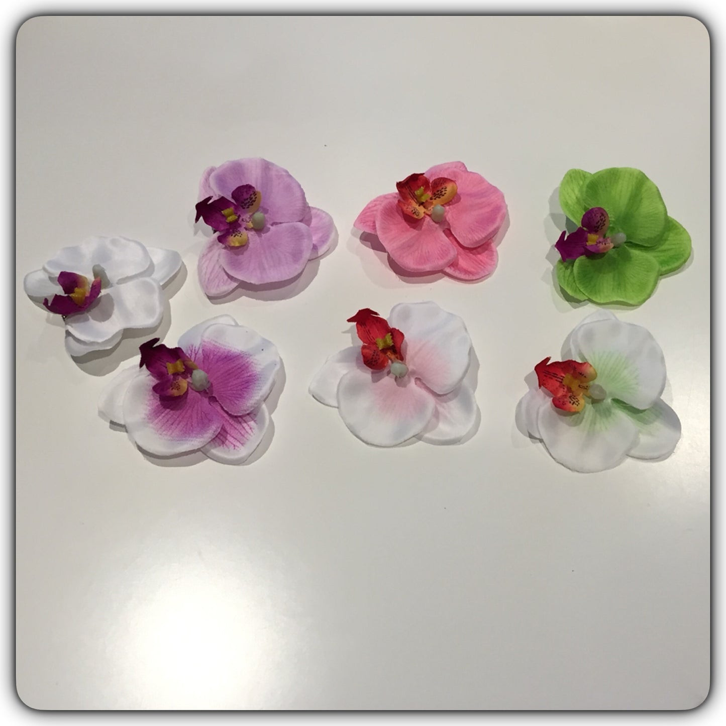 Hårblomma liten vit/rosa orkidé