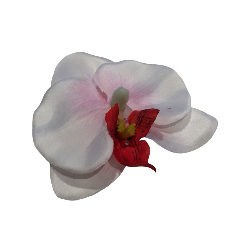 Hårblomma liten vit/rosa orkidé