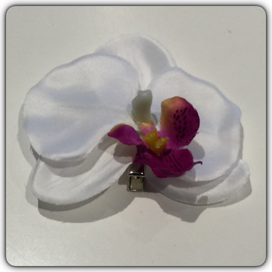 Hårblomma liten vit orkidé