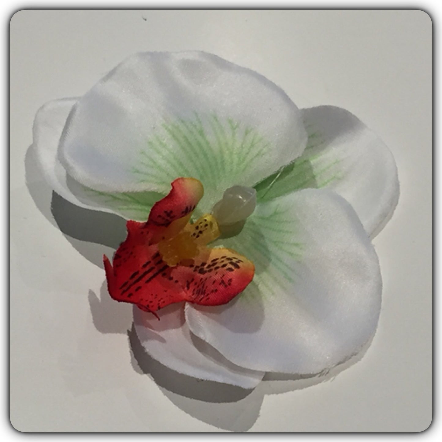 Hårblomma liten vit/grön orkidé