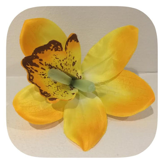 Stor gul hawaiiblomma