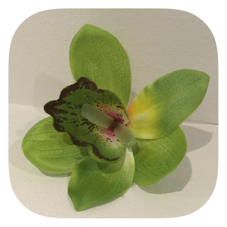 Stor grön hawaiiblomma