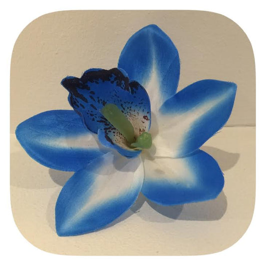 Stor blå hawaiiblomma